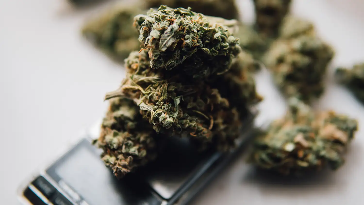 Zwei Jahre CanG: Wo bleibt der Sieg über den Schwarzmarkt?